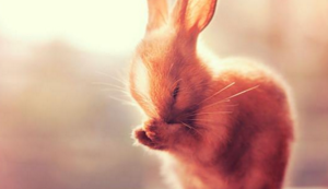 附近热水器维修电话多少啊,附近维修热水器电话号码查询