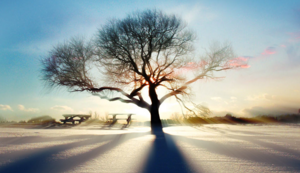 附近热水器维修电话多少啊,附近维修热水器电话号码查询